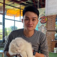 Hieu Tran