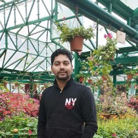 Jogeswar Mahanta