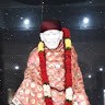 Vinesh K