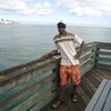 Francis Mupuwi