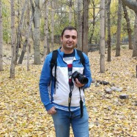 Alireza Lari