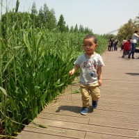 Chunxuan Guo