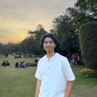 Nilesh Singh