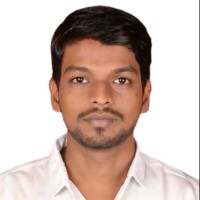 Bipeen Roy