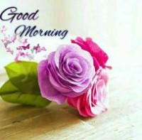 Prakash Reddy