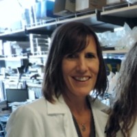 Kristine Wetzel