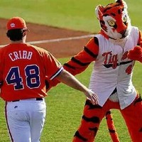 Josh Cribb