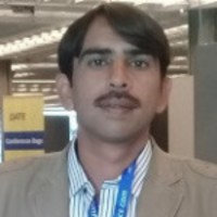 Muhammad Waseem Anwar