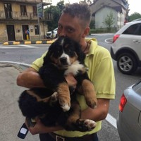 Filippo Volpe