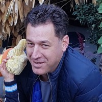 Raymond van den Bosch