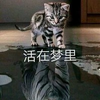 管涛涛