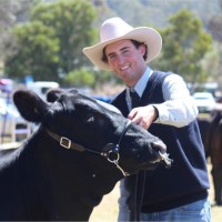 Will Hadley
