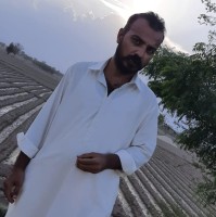 Aman Mir