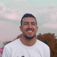 Michel Falcao