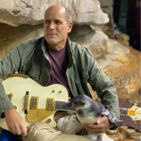 Steve Aibel