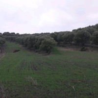 kaoutar l