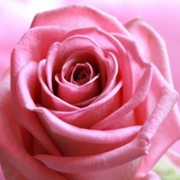 nishanthi Nishanthi_Audhimoolam