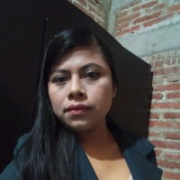 Viridiana Jarquin Dominguez