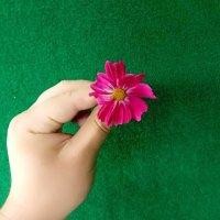 黄秀梅