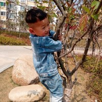 杨晓林