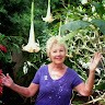 Connie Hawthorne