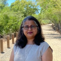 Kari Modi