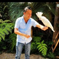 Daniel Herrera Martínez