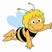 PATRICIO OVALLE QUEZADA