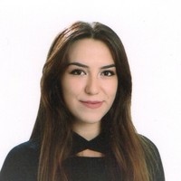 Emine Fulya Akbulut Irmak