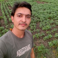 Rohit Tiwari