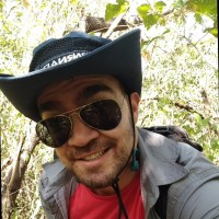 João Bernardo