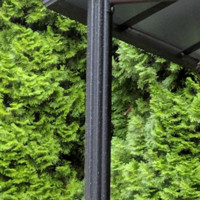James Porches