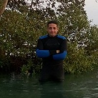 Shady Harraz