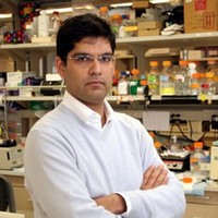 Sandeep Robert Datta