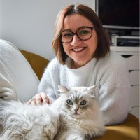 Anne-Sophie Habert, Communication et médias
