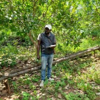 kouakou kouassi feidaud armel