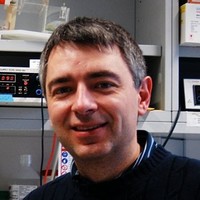 Robert Kralovics