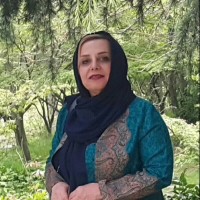 nasrin rezaeian