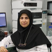 Hajar Ebrahimi