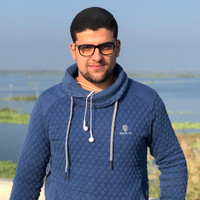mohamed shokry