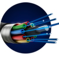 Optical Network