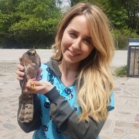 Paria Tabatabaei