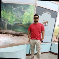 Rajesh Kumar Swain