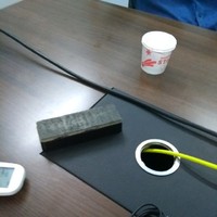 Test Focaloid