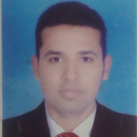 Mahmoud Fawzy Salama