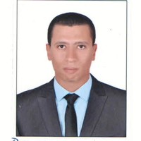 Abd Elmawgoud Hemida