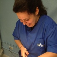 María de Castro Rebollo