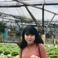 Phuong Phuogg