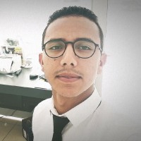 Walid Rafik
