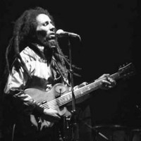 Natty Dread